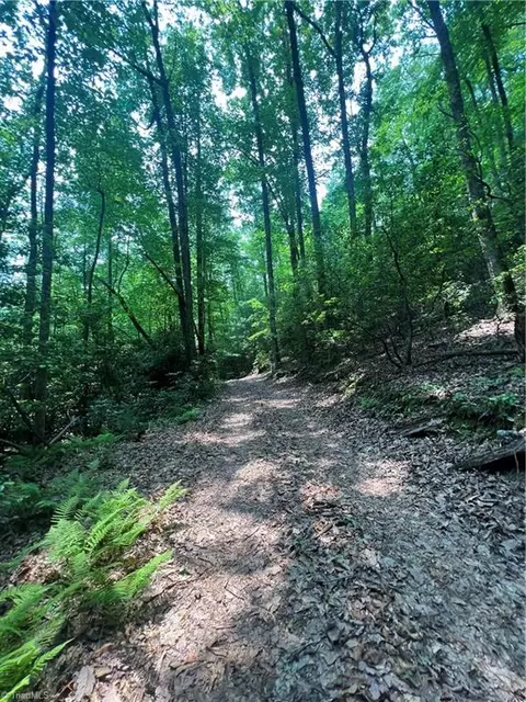 Tbd White Oak Road, Purlear, NC 28665 photo 42