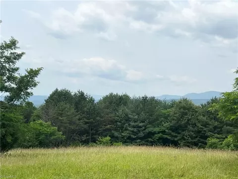 Tbd White Oak Road, Purlear, NC 28665 photo 44