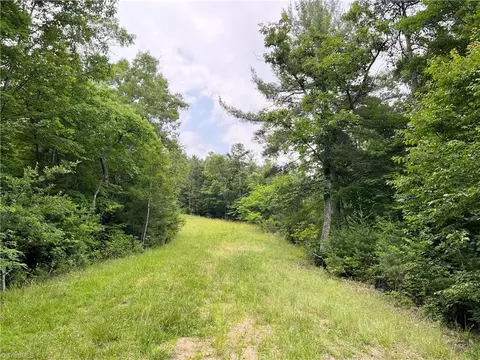 Tbd White Oak Road, Purlear, NC 28665 photo 32