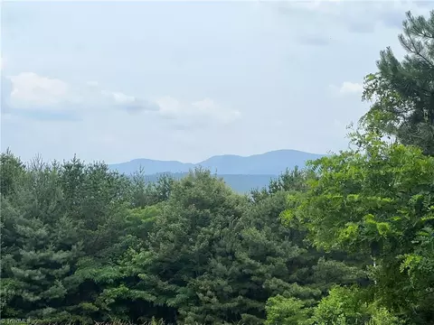 Tbd White Oak Road, Purlear, NC 28665 photo 46