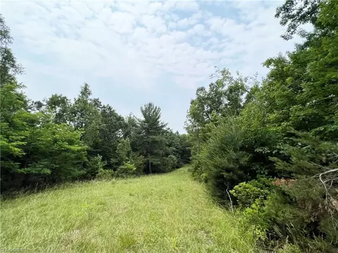 Tbd White Oak Road, Purlear, NC 28665 photo 34