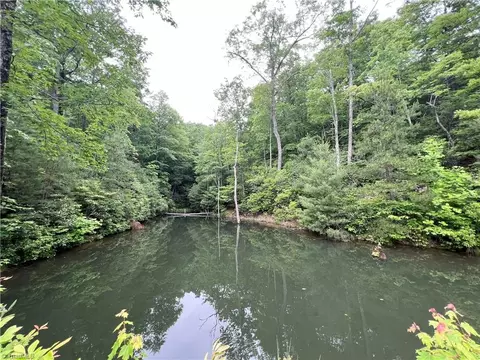 Tbd White Oak Road, Purlear, NC 28665 photo 18