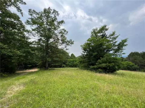 Tbd White Oak Road, Purlear, NC 28665 photo 27