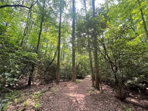 Tbd White Oak Road, Purlear, NC 28665 photo 40
