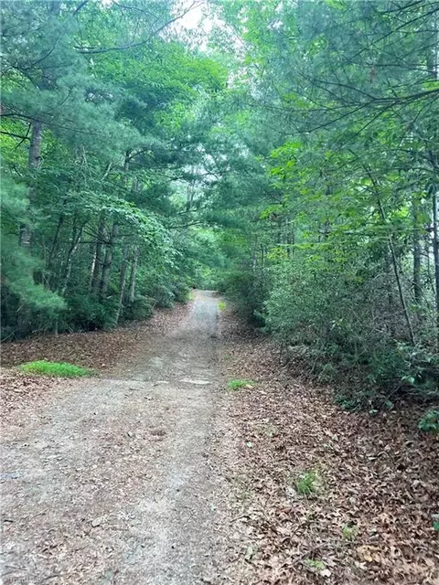 Tbd White Oak Road, Purlear, NC 28665 photo 26