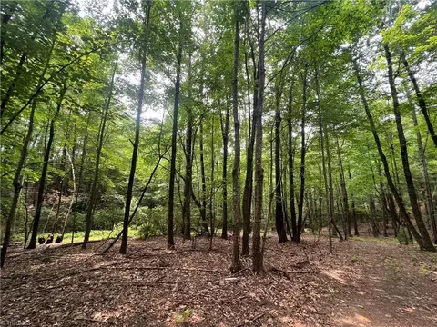 Tbd White Oak Road, Purlear, NC 28665 photo 37