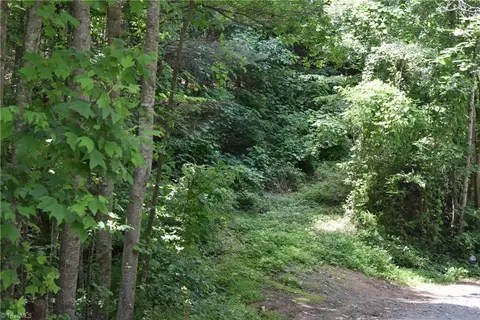 803 Epworth Rd, Cana, VA 24317