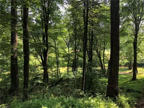 900 Vass Mill Rd, Laurel Fork, VA 24352 photo 25