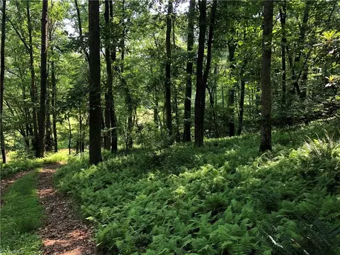900 Vass Mill Rd, Laurel Fork, VA 24352 photo 27