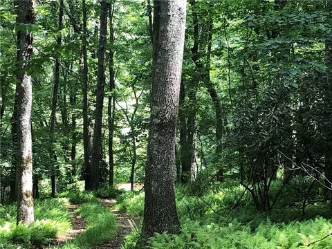 900 Vass Mill Rd, Laurel Fork, VA 24352 photo 31