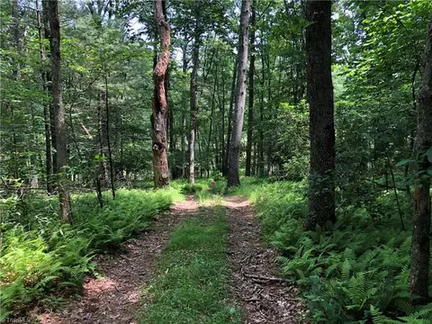 900 Vass Mill Rd, Laurel Fork, VA 24352 photo 12