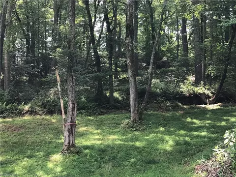 900 Vass Mill Rd, Laurel Fork, VA 24352 photo 28