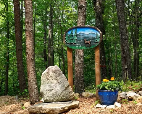 302 Doe Run, Purlear, NC 28665 photo 33