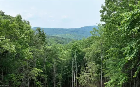 302 Doe Run, Purlear, NC 28665 photo 42