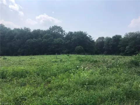 tbd Simpson Mill Rd, Dobson, NC 27017 photo 3