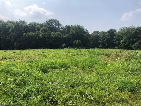 tbd Simpson Mill Rd, Dobson, NC 27017