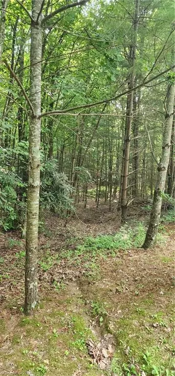 183 Davids Pl, Lowgap, NC 27024 photo 43