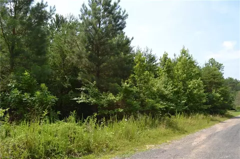 12 75 Acres Loblolly Rd, Madison, NC 27025
