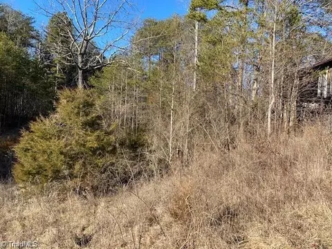 0 Ayers Rd, Pinnacle, NC 27043 photo 4