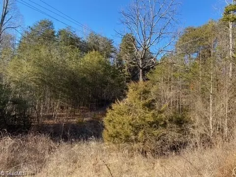 0 Ayers Rd, Pinnacle, NC 27043 photo 6