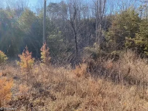 0 Ayers Rd, Pinnacle, NC 27043 photo 5
