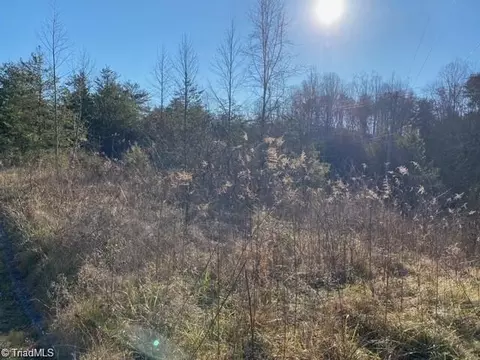0 Ayers Rd, Pinnacle, NC 27043 photo 3