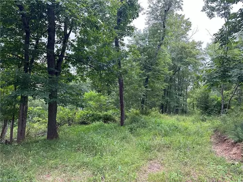 Tbd Claytor Road, Pilot, VA 24138 photo 10