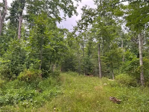 Tbd Claytor Road, Pilot, VA 24138 photo 6