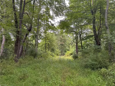 Tbd Claytor Road, Pilot, VA 24138 photo 5