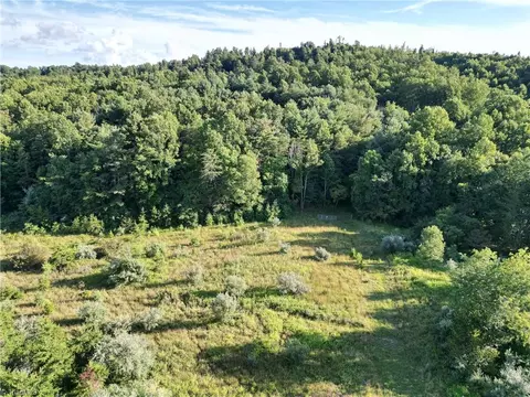 Tbd Claytor Road, Pilot, VA 24138 photo 14