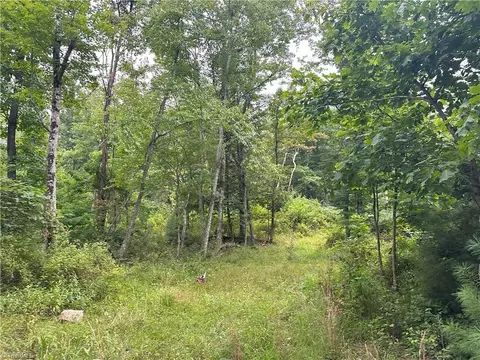 Tbd Claytor Road, Pilot, VA 24138 photo 9