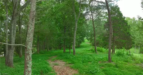 2558 Old Highway 60, Purlear, NC 28665 photo 41
