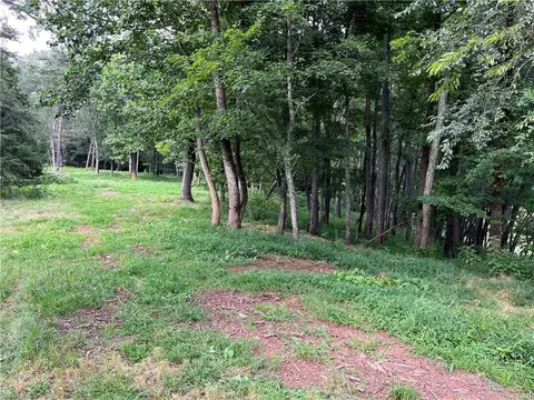 2558 Old Highway 60, Purlear, NC 28665 photo 30