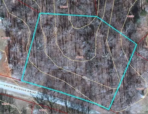 Vl Lacie Nichole Drive, Graham, NC 27253