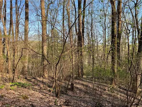 tbd N Ledge Trl, Fancy Gap, VA 24328 photo 3