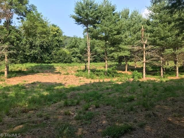 0000 Grassy Frk Rd  