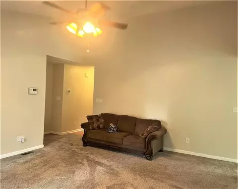 309 Frank Cherry St, Eden, NC 27288 photo 8