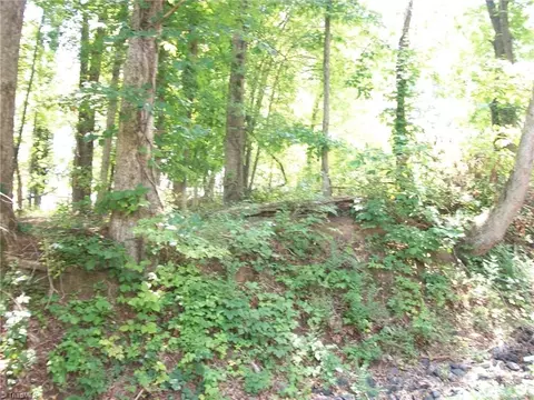 000 Pine Rd, Eden, NC 27288