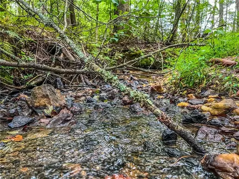 1383 Gravitte Rd, Pilot Mountain, NC 27041 photo 15