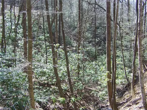 APT 11 Buck Mountain Road, Purlear, NC 28665 photo 3