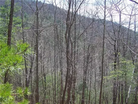 APT 11 Buck Mountain Road, Purlear, NC 28665 photo 4