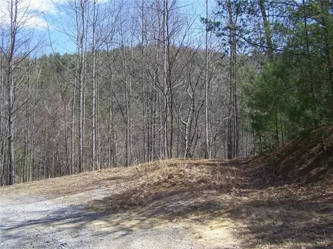 APT 11 Buck Mountain Road, Purlear, NC 28665 photo 2