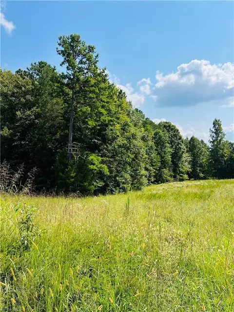 0 Pleasant Union Rd # -a, Trinity, NC 27370 photo 17