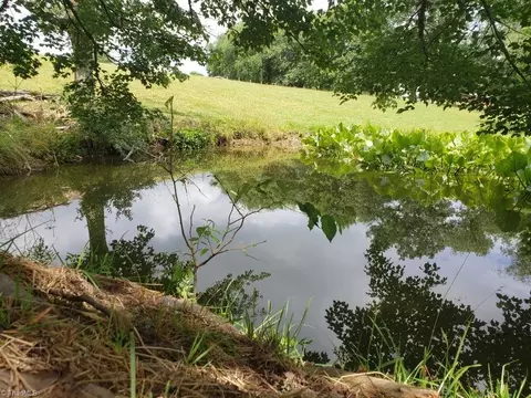 512 Vass Mill Rd, Laurel Fork, VA 24352 photo 38