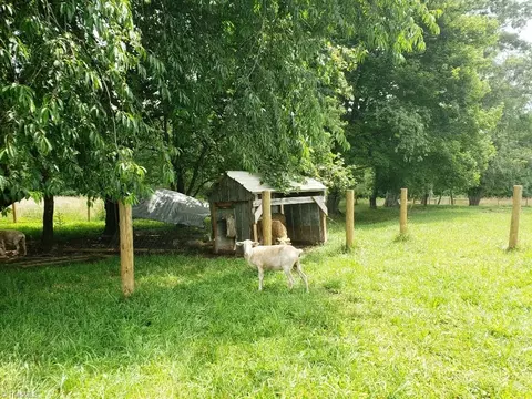512 Vass Mill Rd, Laurel Fork, VA 24352 photo 34