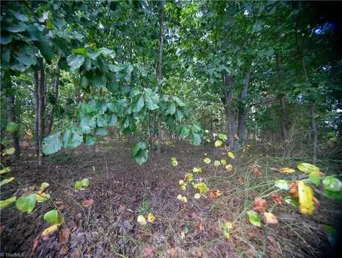 00 Redmon Rd, Harmony, NC 28634 photo 4