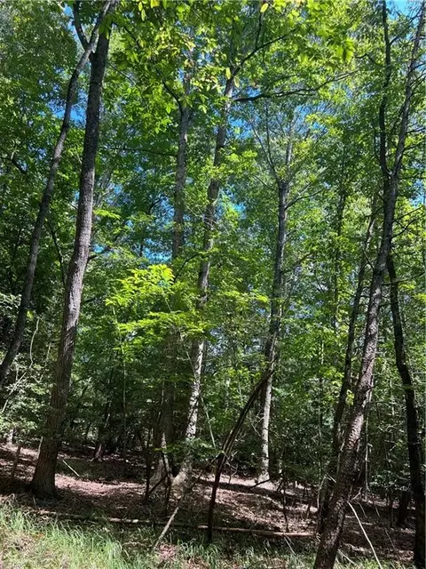 000 Wind Ridge Ln, Dobson, NC 27017