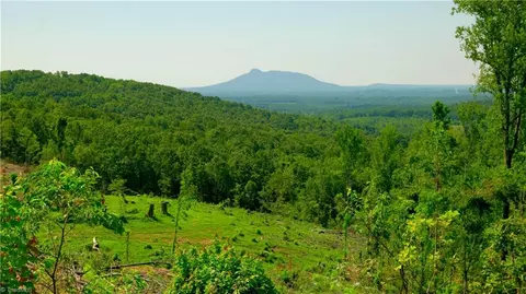 5 Howell Rd, Pilot Mountain, NC 27041 photo 2