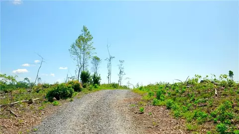 5 Howell Rd, Pilot Mountain, NC 27041 photo 3