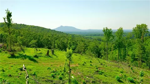 5 Howell Rd, Pilot Mountain, NC 27041 photo 6